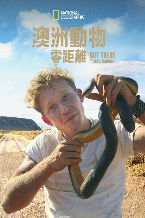 澳洲动物零距离海报