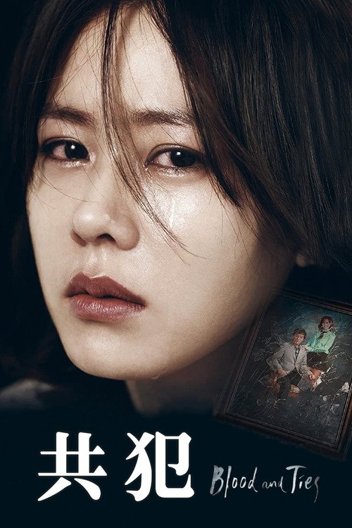 共犯电影海报