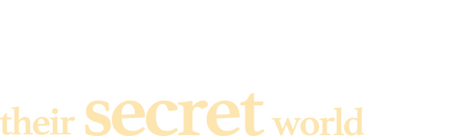 movies