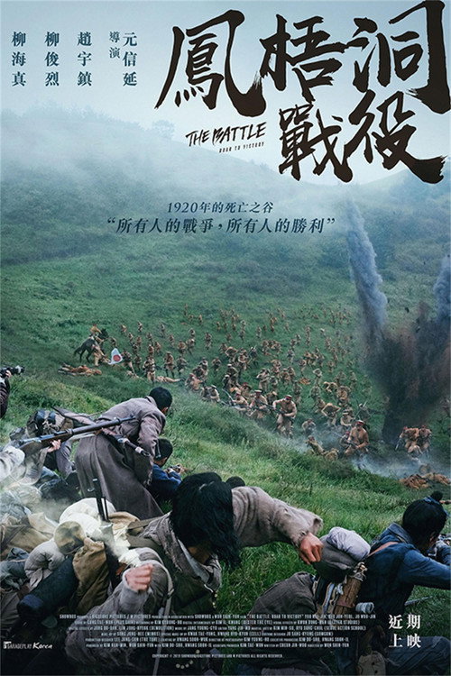 凤梧洞战斗电影海报