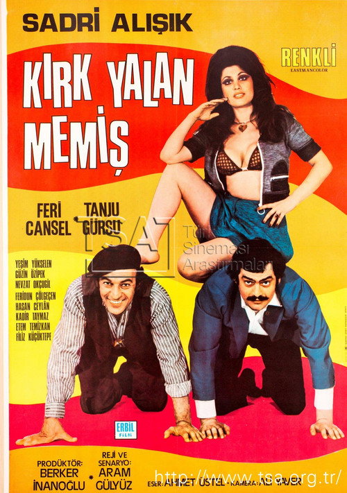 Kırk Yalan Memiş poster 2