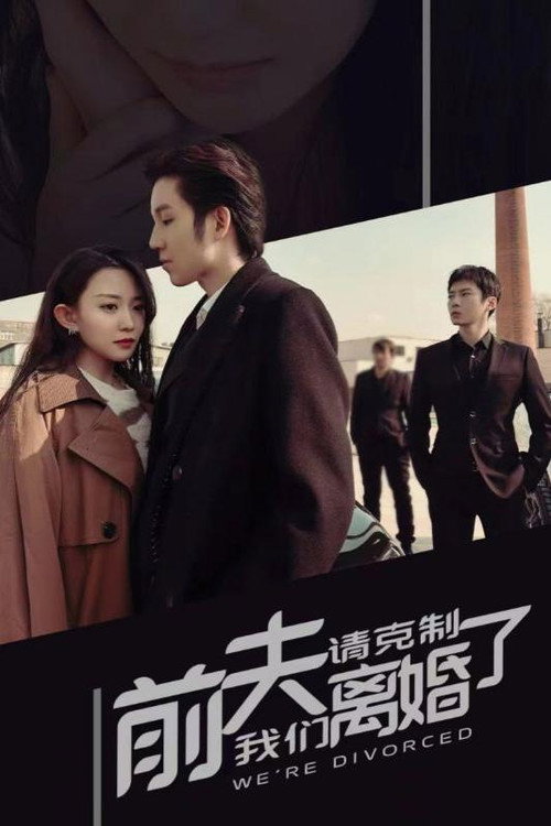 前夫请克制我们离婚了电影海报