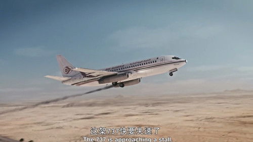 Divided in Crisis (Air Algérie 6289)