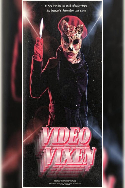 Video Vixen's poster