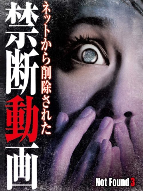 Not Found 3 Poster