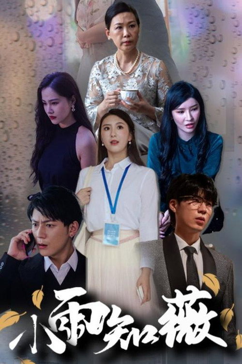 小雨知薇电影海报