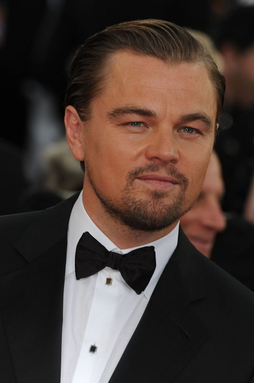 Leonardo poster 3