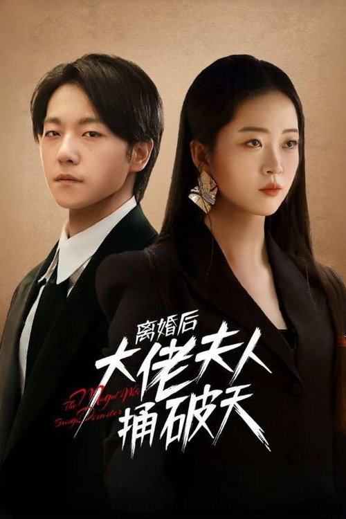 离婚后大佬夫人捅破天电影海报