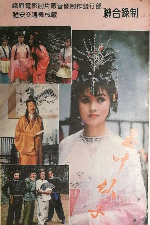 玉叶仙子电影海报