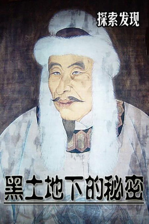 黑土地下的秘密电影海报