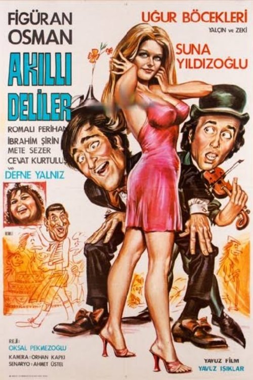 Akıllı Deliler Poster