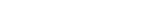 THE STEPFORD WIVES Logo