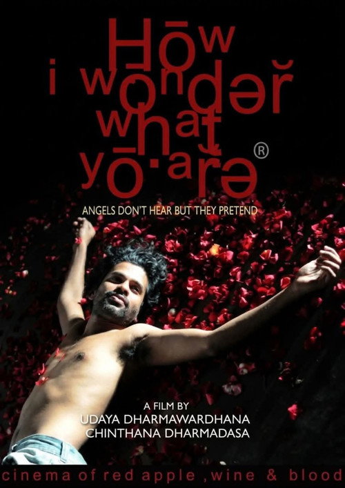 How I Wonder What You Are Poster