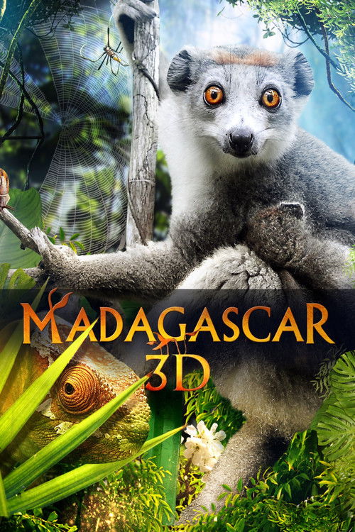 Madagascar+3D