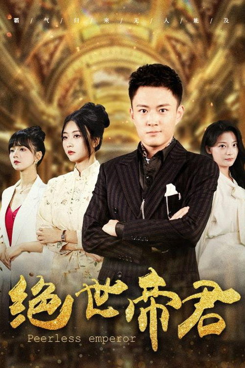 绝世帝君电影海报