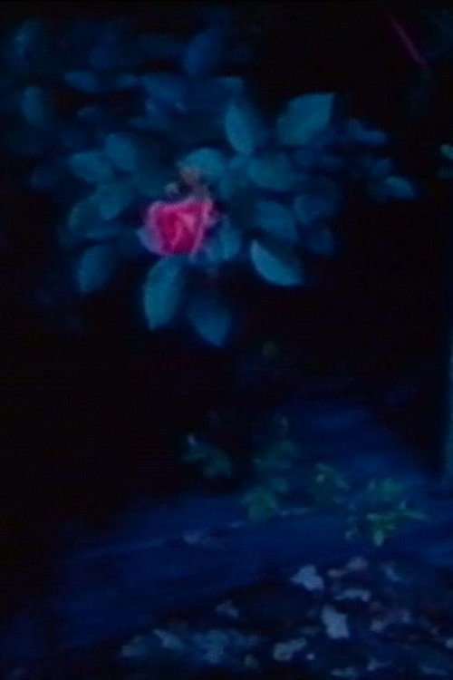 Ein Schlauchboot und Austern 1985 Ein Schlauchboot und Austern 1985