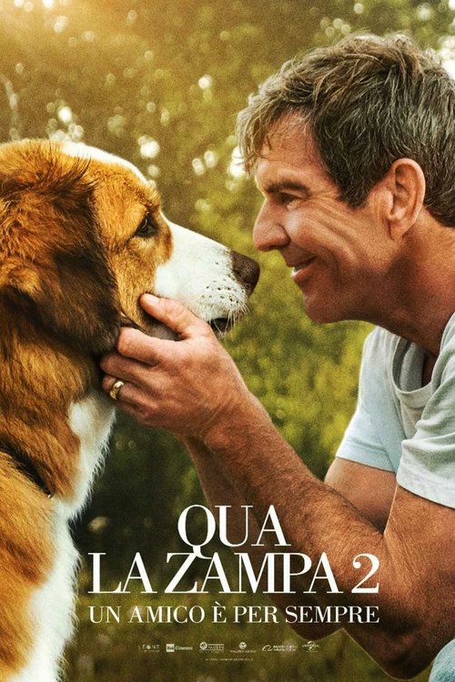 Qua la zampa 2 - Un amico è per sempre (2019) Guarda lo streaming di film completo online
