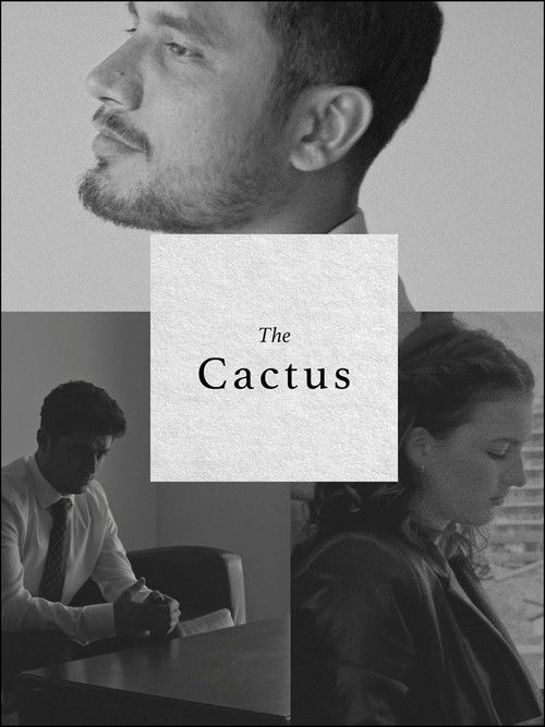 The Cactus