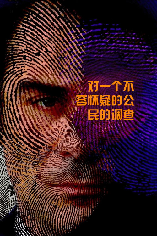 对一个不容怀疑的公民的调查电影海报