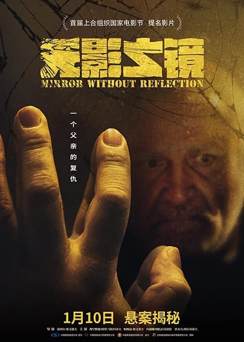 Mirror Without Reflection Poster