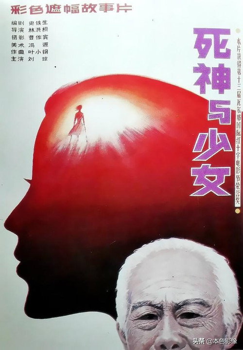 Death and the Maiden poster 2
