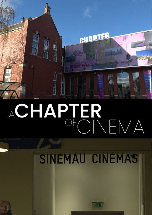 A Chapter of Cinema