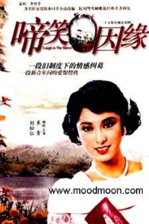 啼笑因缘电影海报
