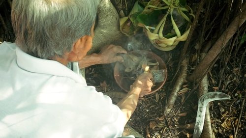 images