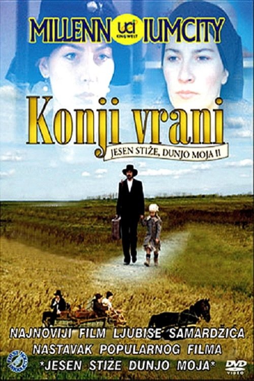Konji vrani Poster