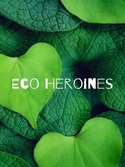 Eco-Heroines电影海报