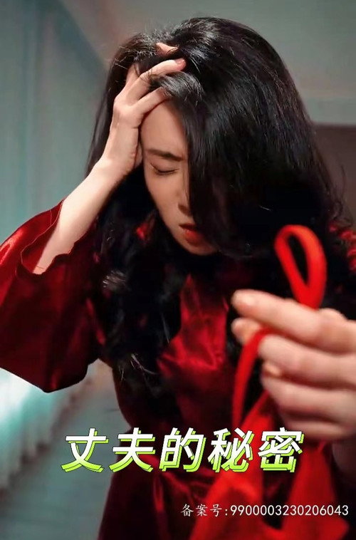 丈夫的秘密电影海报