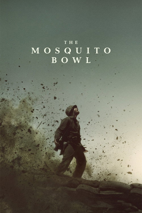 The Mosquito Bowl