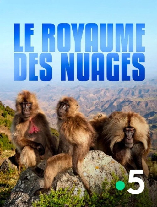Le royaume des nuages Poster
