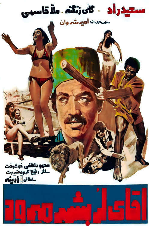 Agha-ye Lor be shahr miravad poster 2