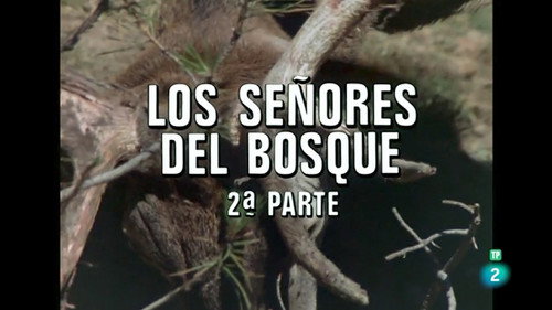 The Lords of the Forest II