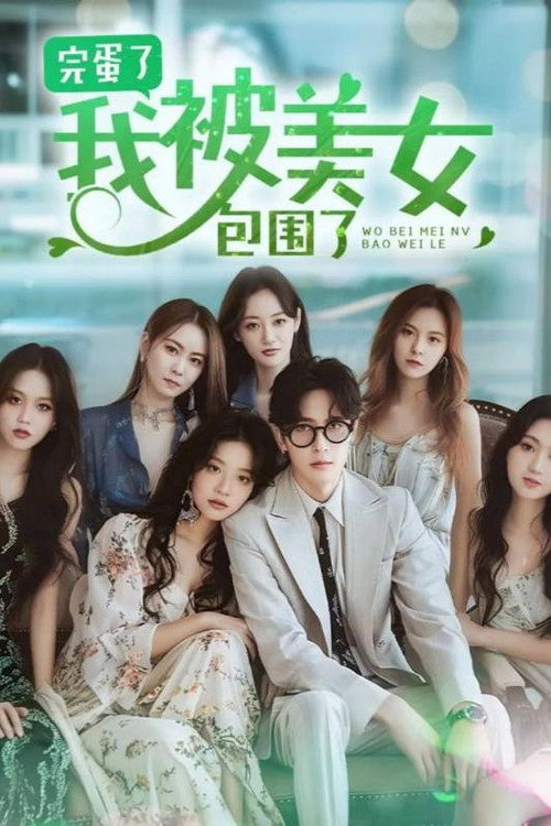 完蛋了，我被七个女神逼婚了电影海报