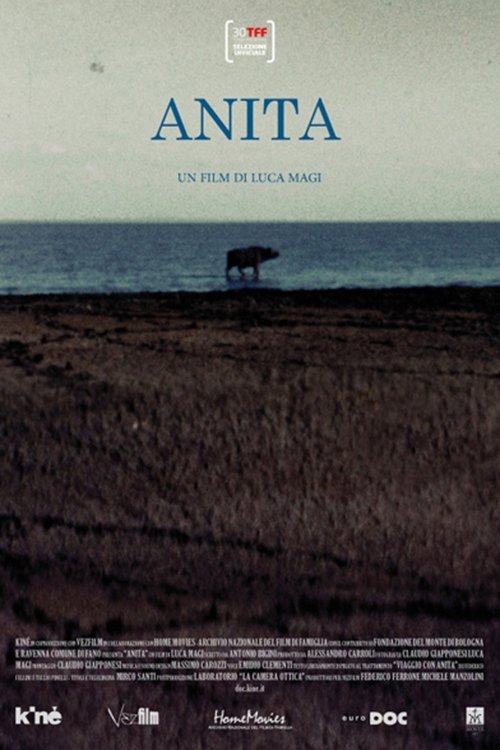Anita Poster