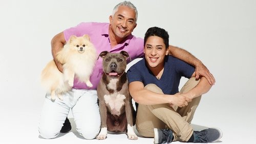 Nação dos Cães com Cesar Millan