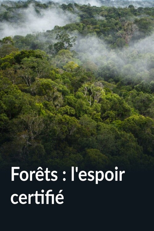 Forêts : l'espoir certifié