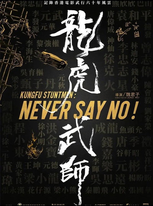 龙虎武师电影海报