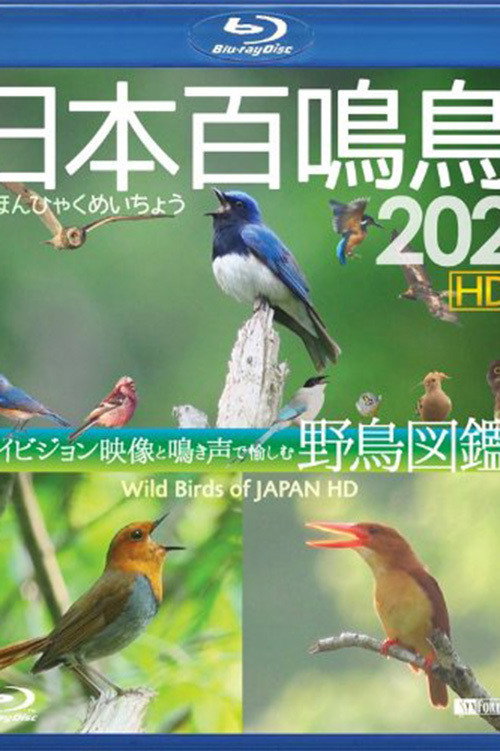 Wild Birds of Japan