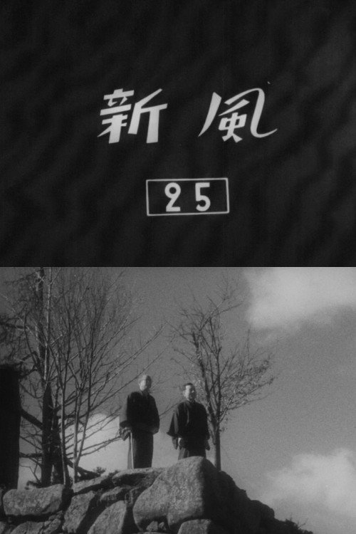 新風电影海报