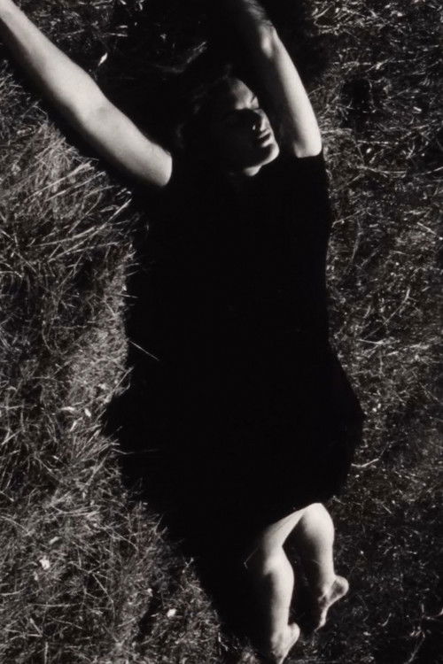 Portrait of Alison Bradford