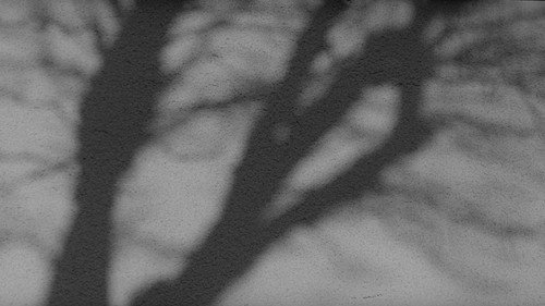 image69