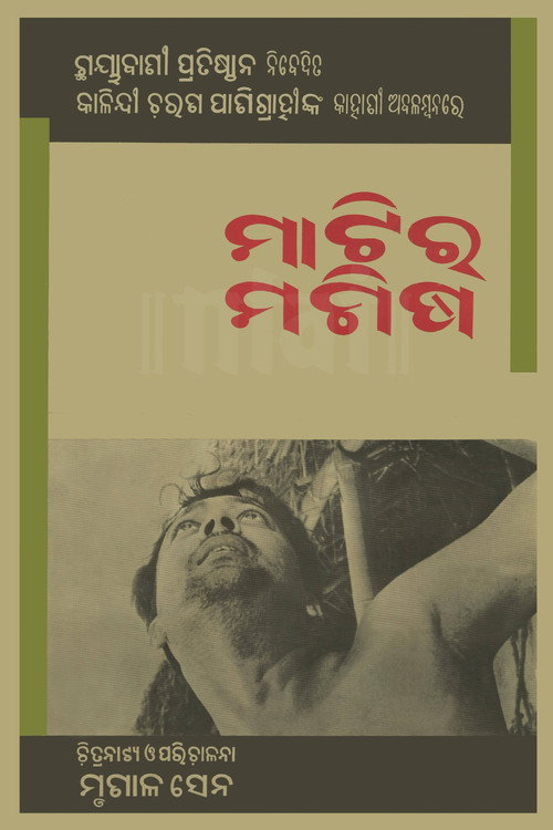 Two Brothers poster 3