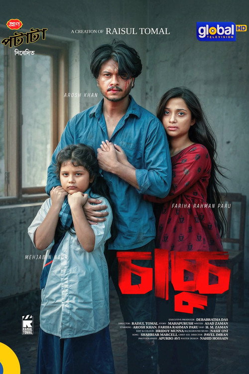 চাচ্চু电影海报