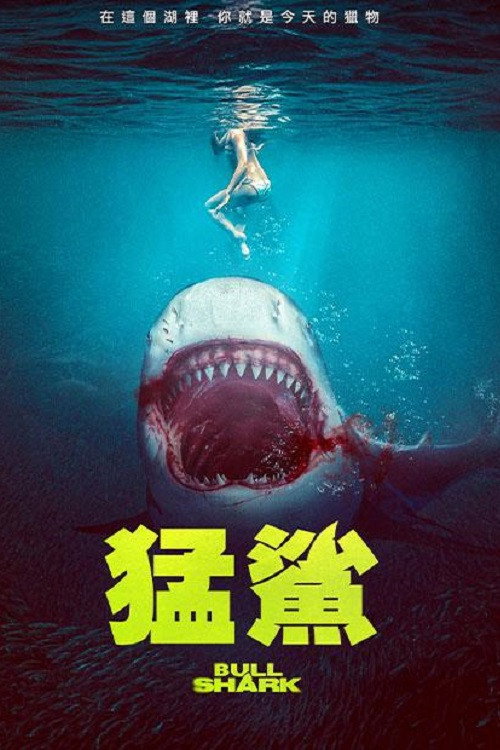 Bull Shark电影海报