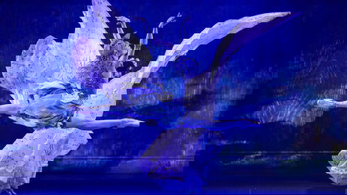 images