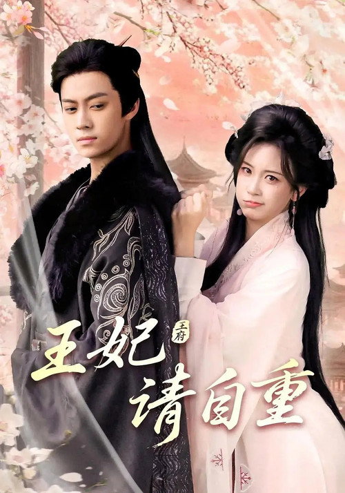 王妃请自重海报