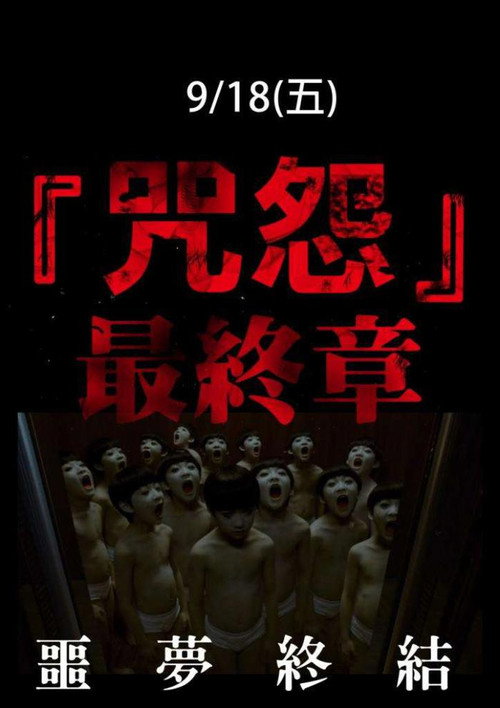 咒怨：完结篇电影海报